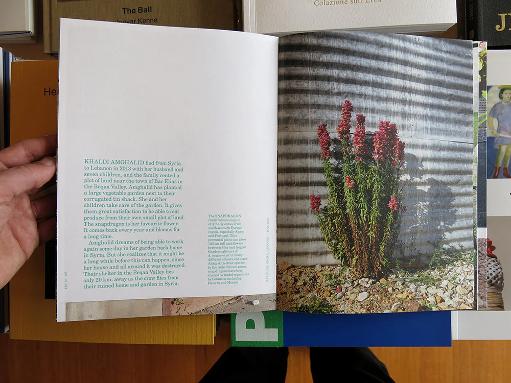 Henk Wildschut - Rooted - Image 6