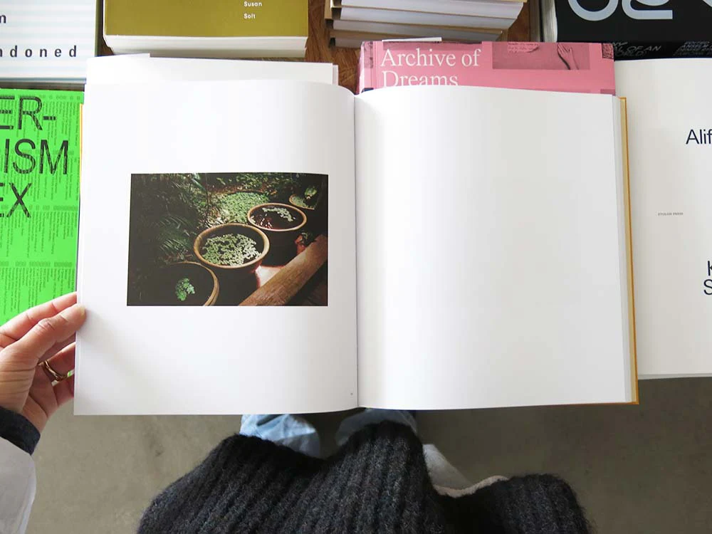 Henry Roy – Impossible Island - Image 2