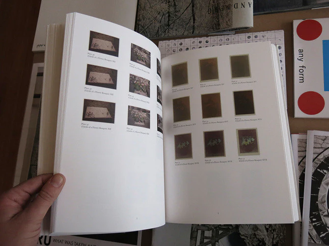 Inga Kerber - Catalogue Raisonné (Clichés) - Image 4