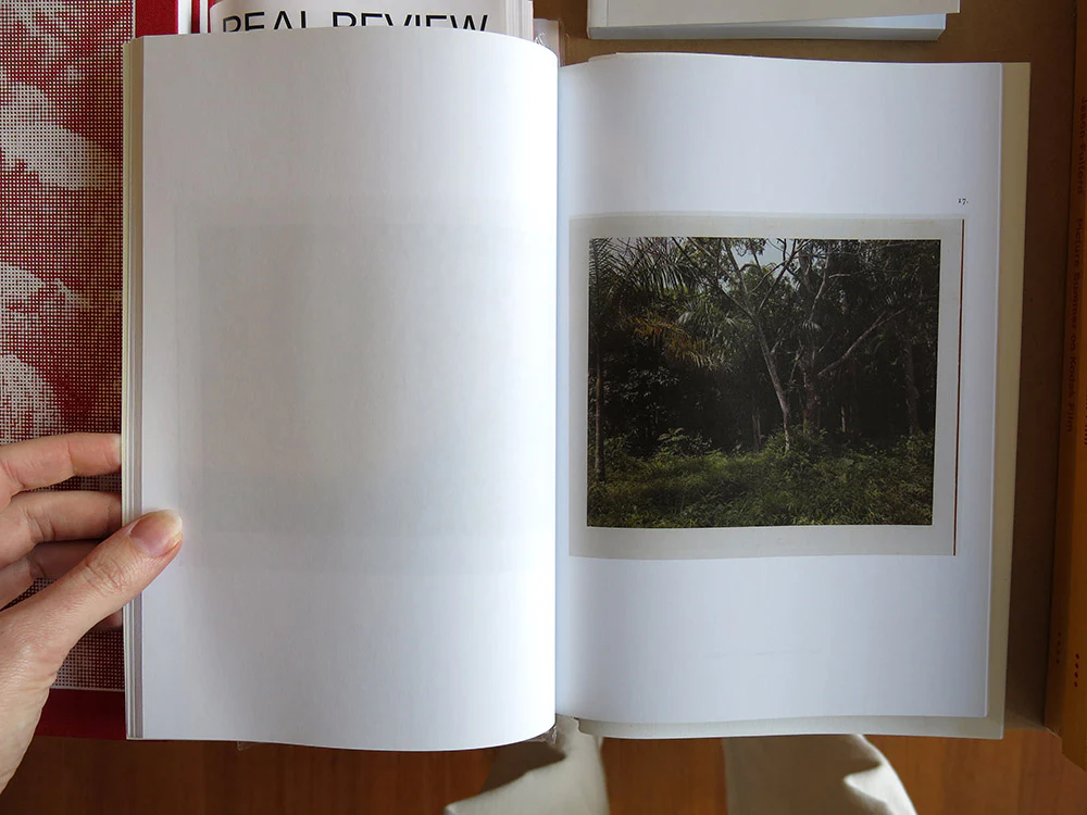 Inga Kerber – Cliché of a Landscape, Jungle - Image 4
