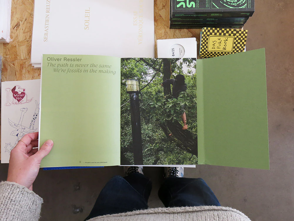 Into the Woods: Perspectives on Forest Ecosystems - Image 6