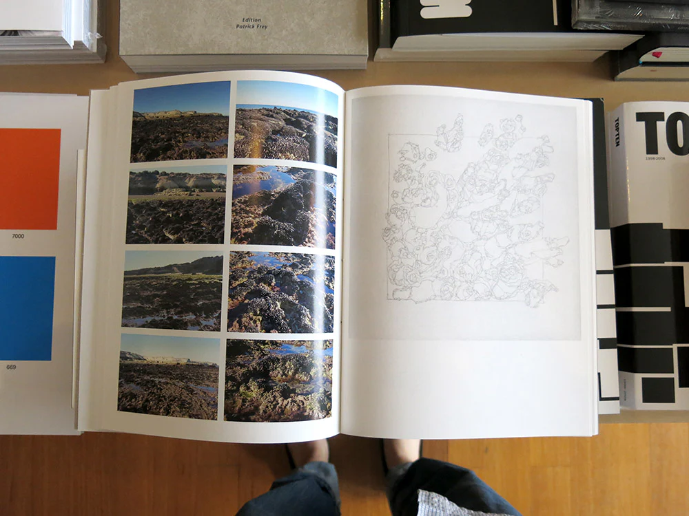 Irene Kopelman – Cardinal Points - Image 3