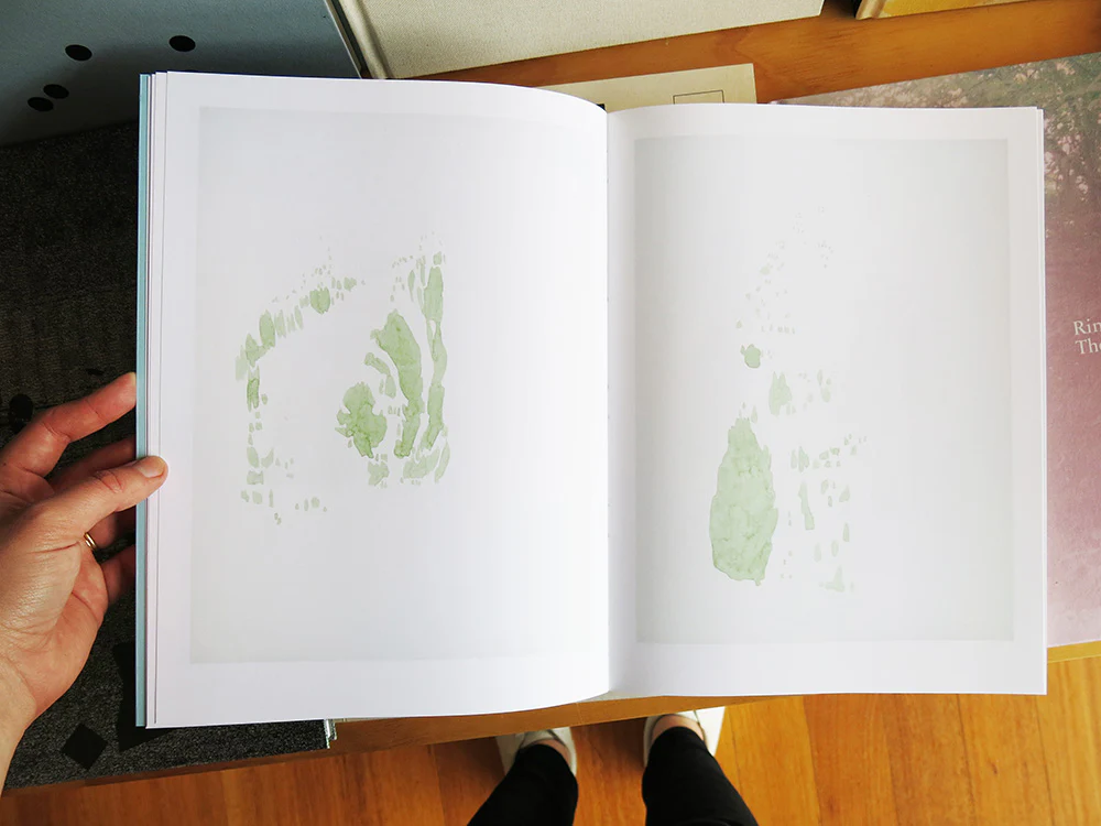 Irene Kopelman - On Glaciers And Avalanches: Notes On Representation Vol. 8 - Image 3