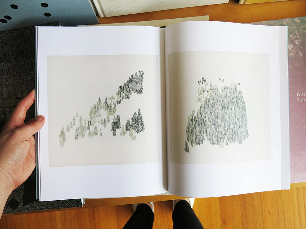 Irene Kopelman - On Glaciers And Avalanches: Notes On Representation Vol. 8 - Image 6