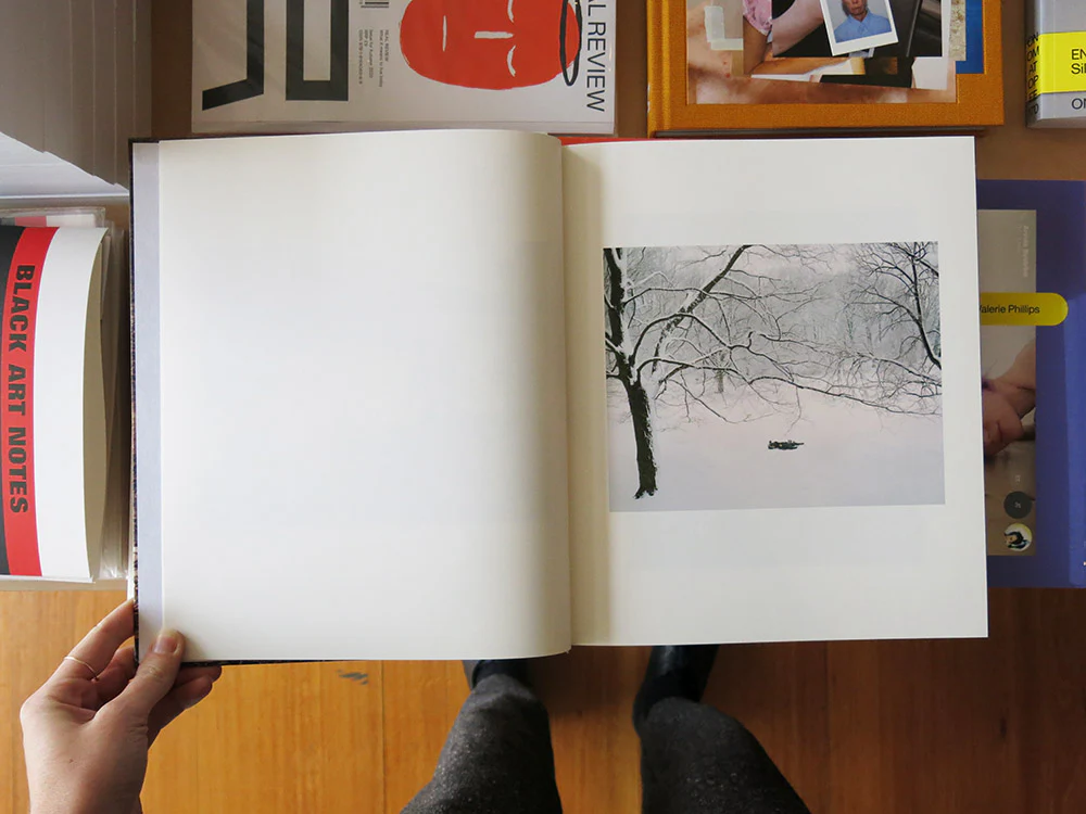 Irina Rozovsky – In Plain Air - Image 2