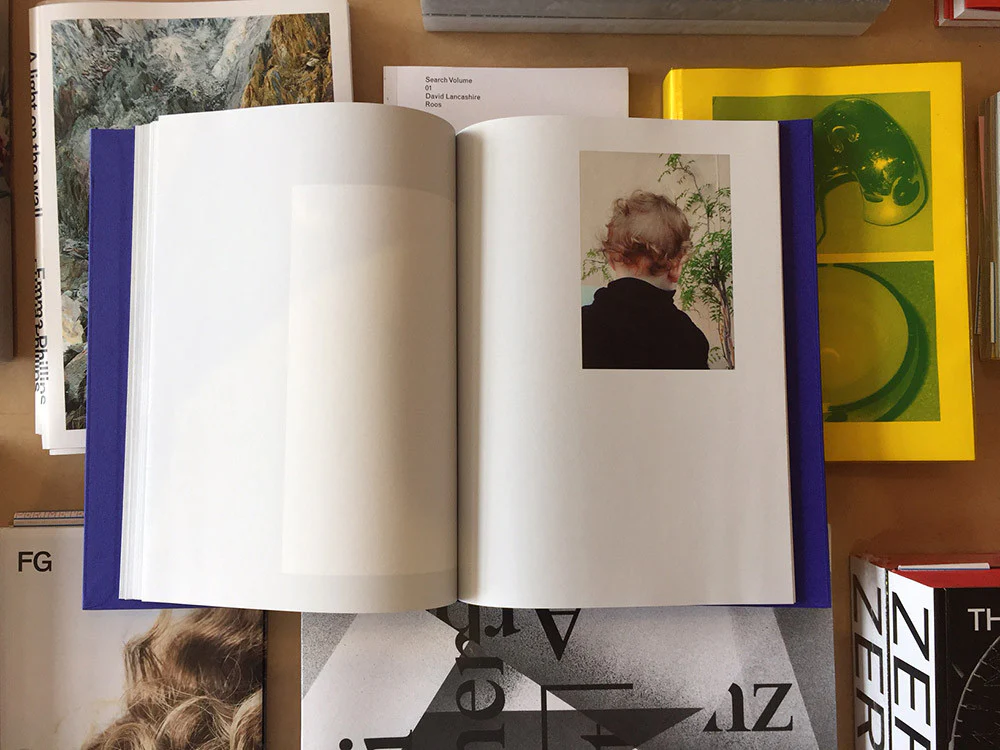 Isabelle Evertse - Anthropoides Paradiseus - Image 3