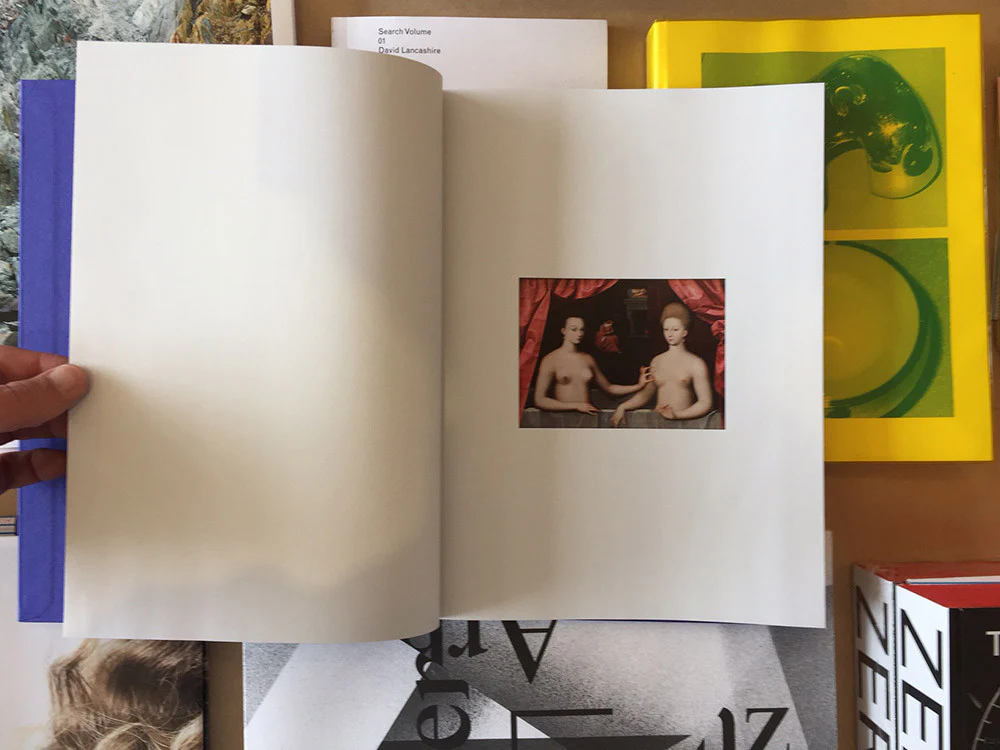 Isabelle Evertse - Anthropoides Paradiseus - Image 6