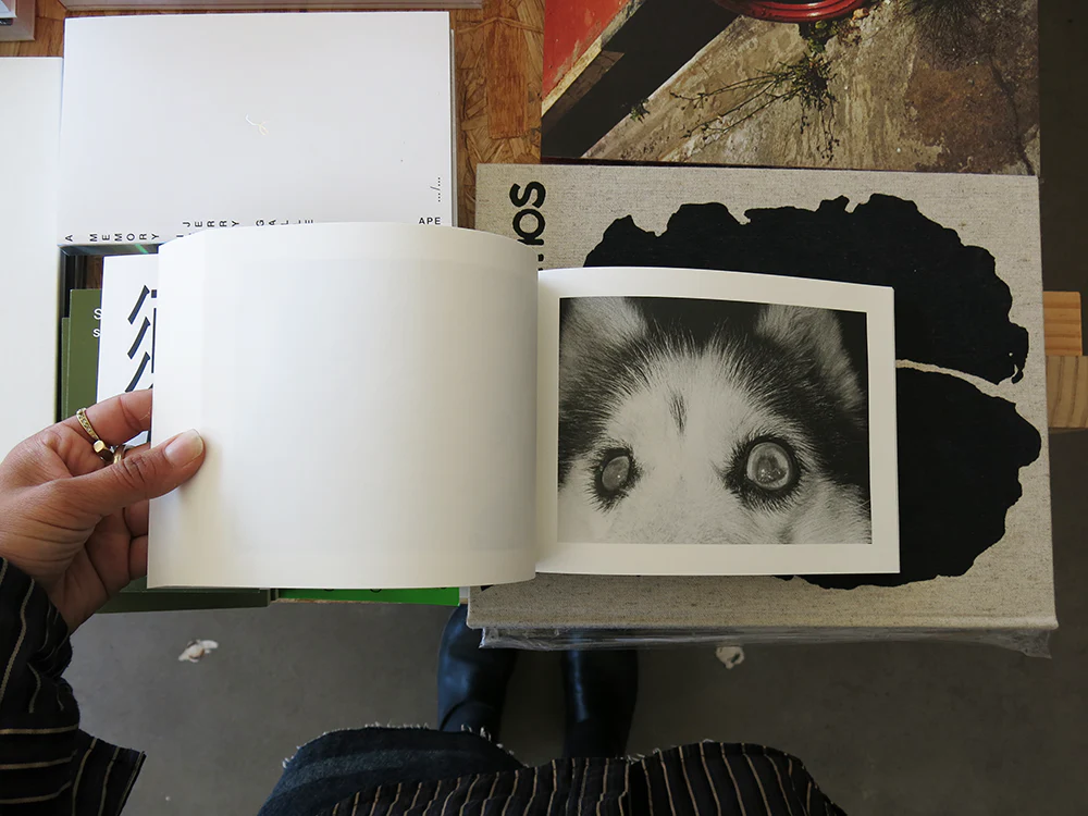 Issei Suda – Family Diary - Image 5