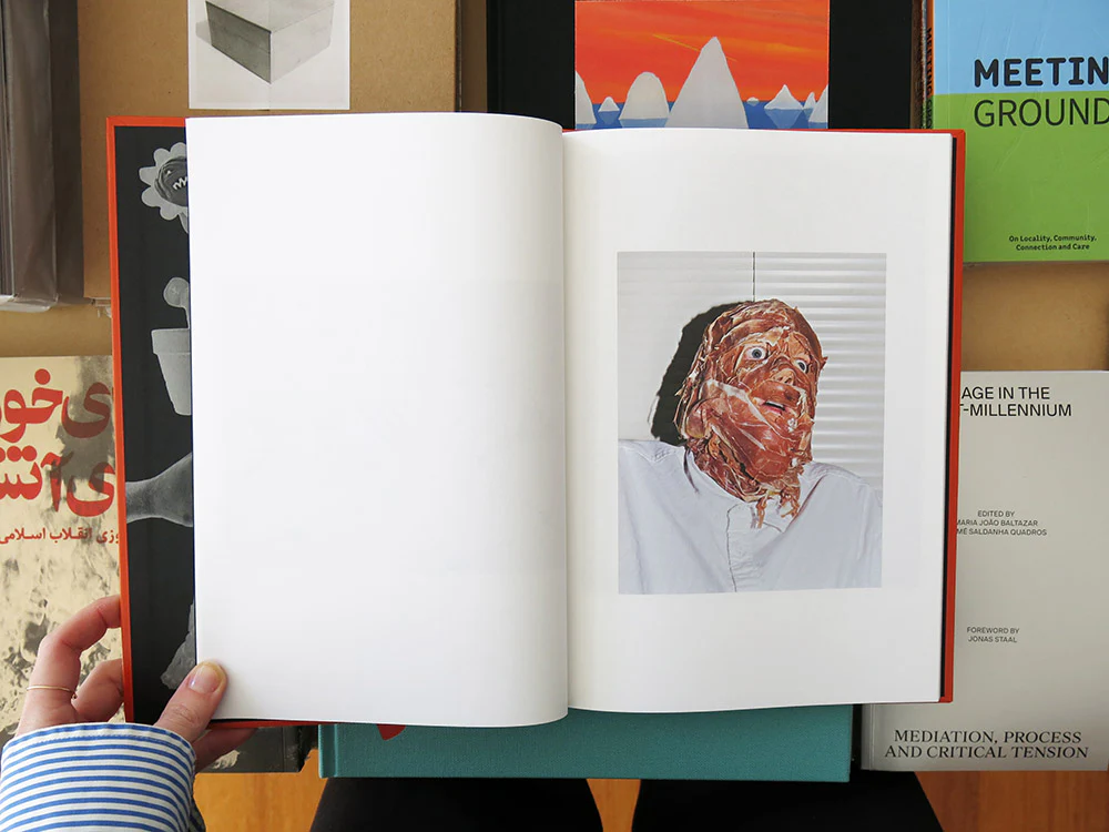 Jacob Haupt – Did I Scare You? - Image 3