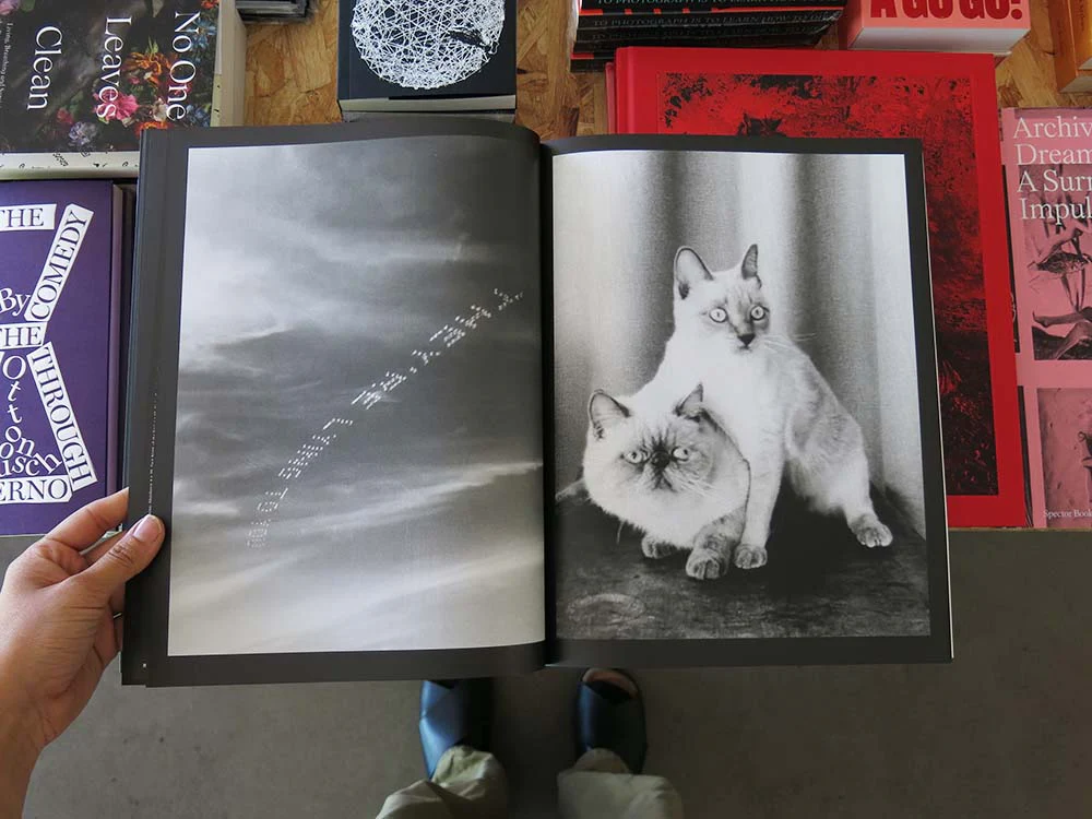 Jakob Ganslmeier & Ana Zibelnik – If a Flower Bloomed in a Dark Room, Would You Trust It? - Image 10