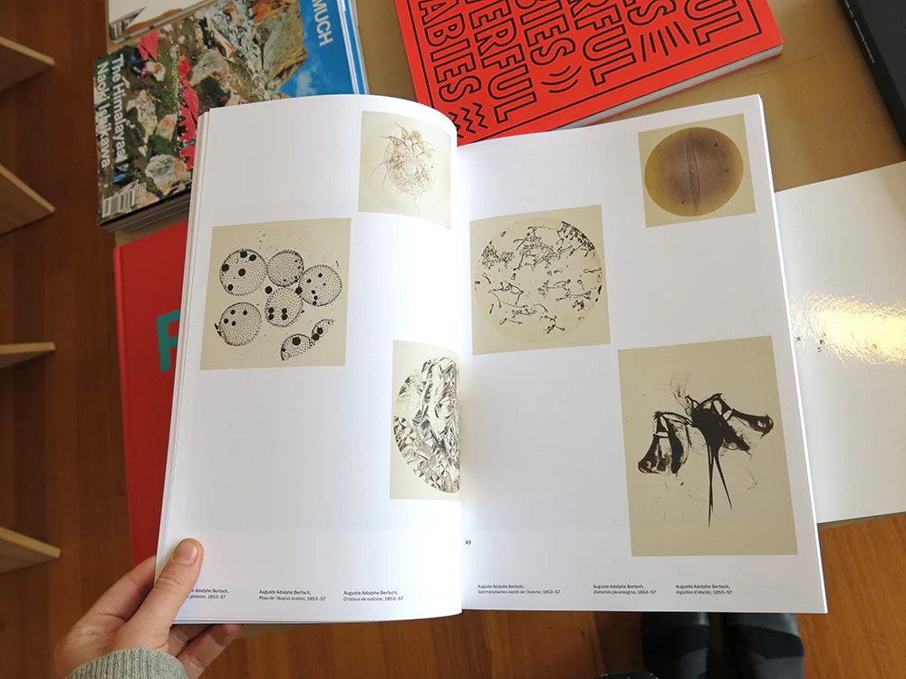 Jan Dibbets - Pandora's Box: On Another Photography - Image 3