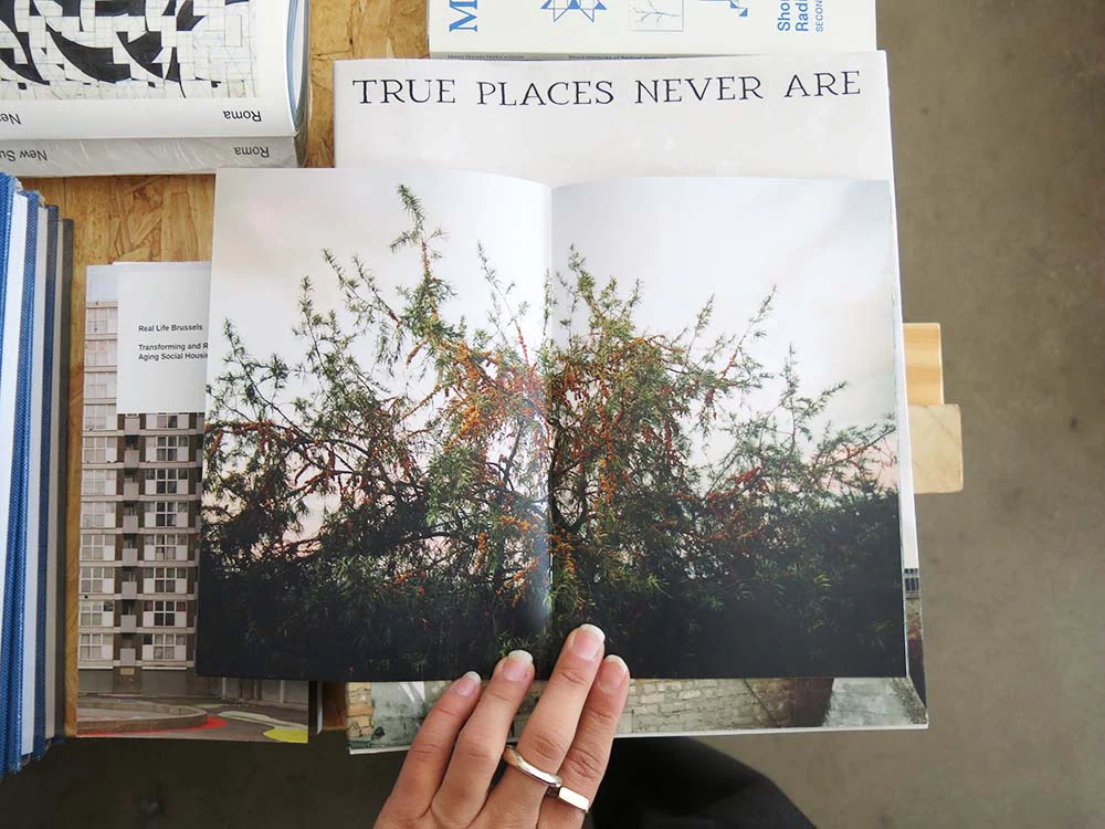 Jane Cummins – Marrow - Image 4