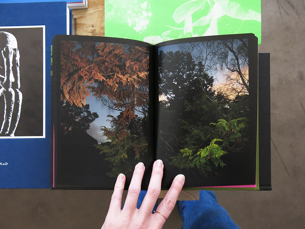 Jane Wilcox – Between Dog and Wolf - Image 7