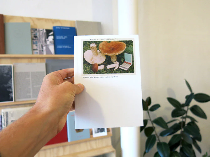 Jason Fulford - The Mushroom Collector