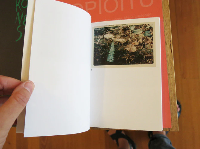 Jason Fulford - The Mushroom Collector - Image 3