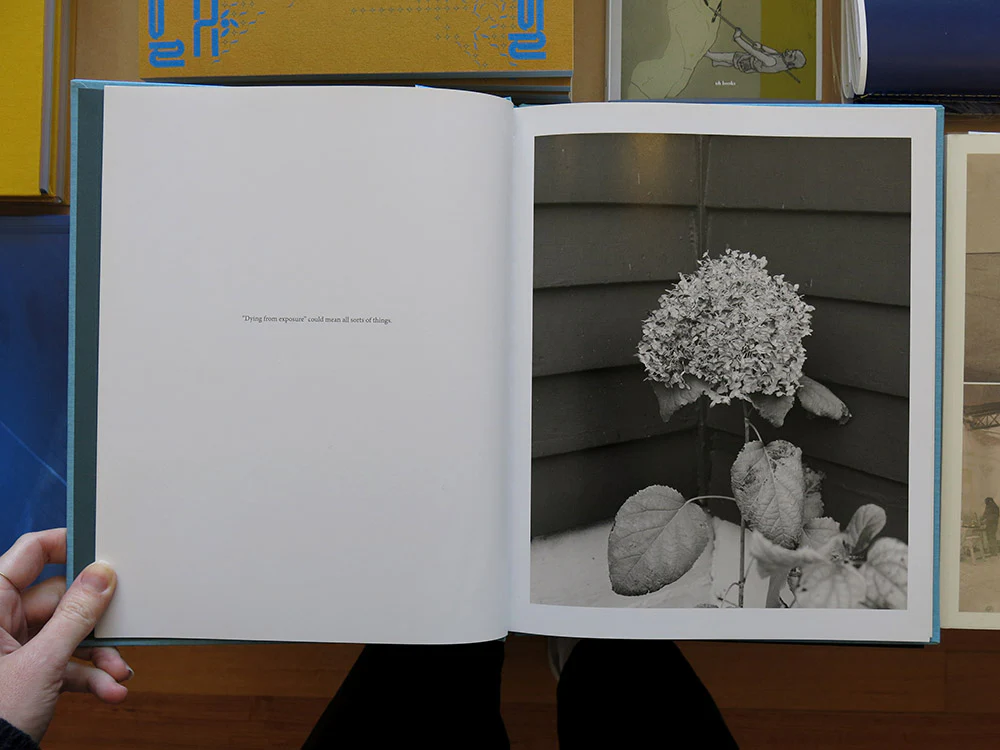 Jason Vaughn and Brad Zellar – Driftless - Image 2