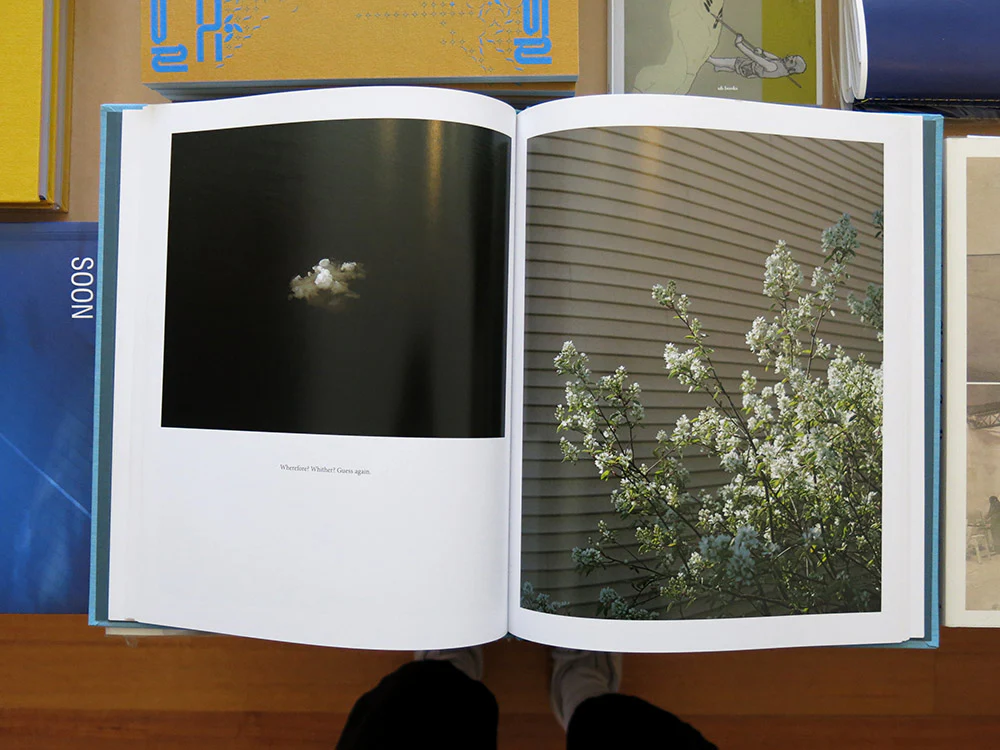 Jason Vaughn and Brad Zellar – Driftless - Image 6