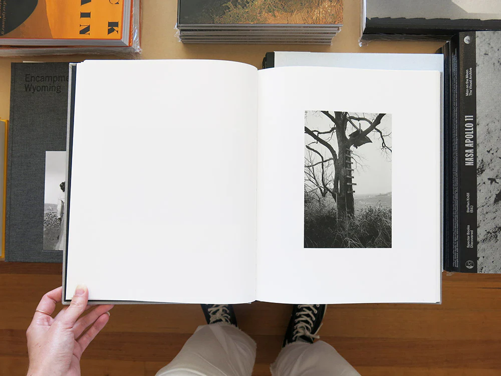 Jesse Lenz – The Locusts - Image 4