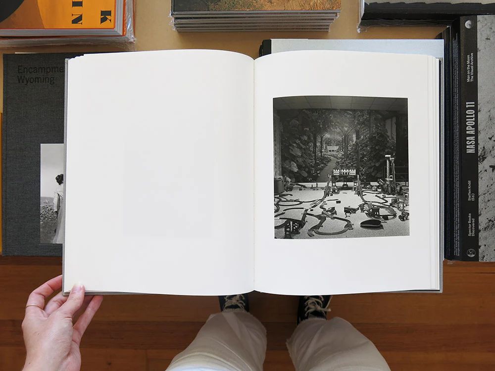 Jesse Lenz – The Locusts - Image 7
