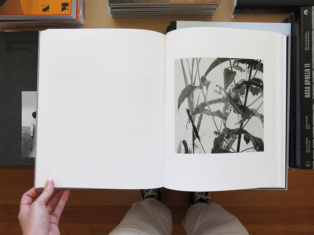 Jesse Lenz – The Locusts - Image 8