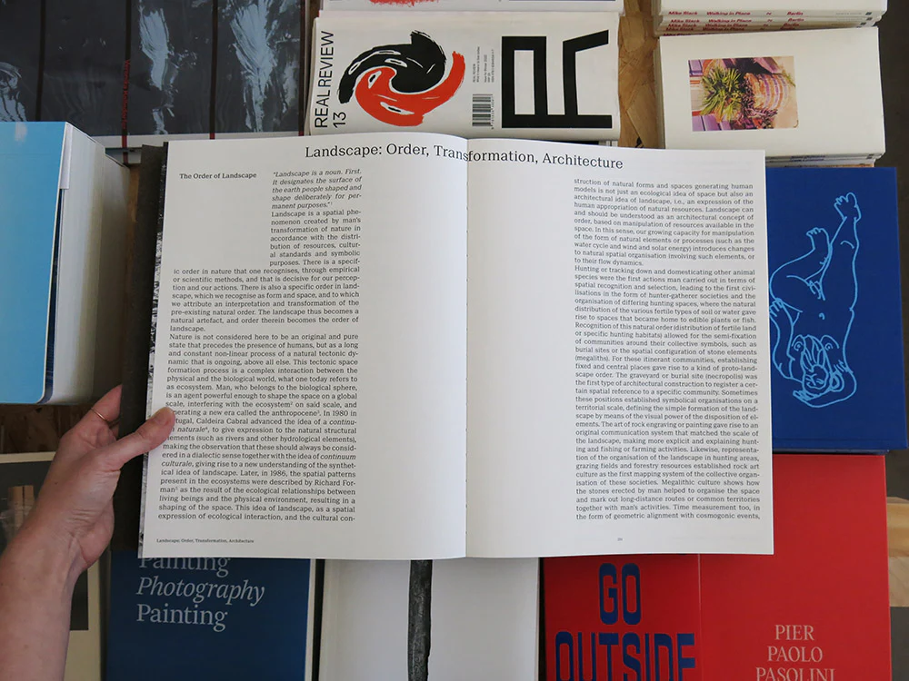 João Gomes da Silva – The Order of Landscape - Image 8