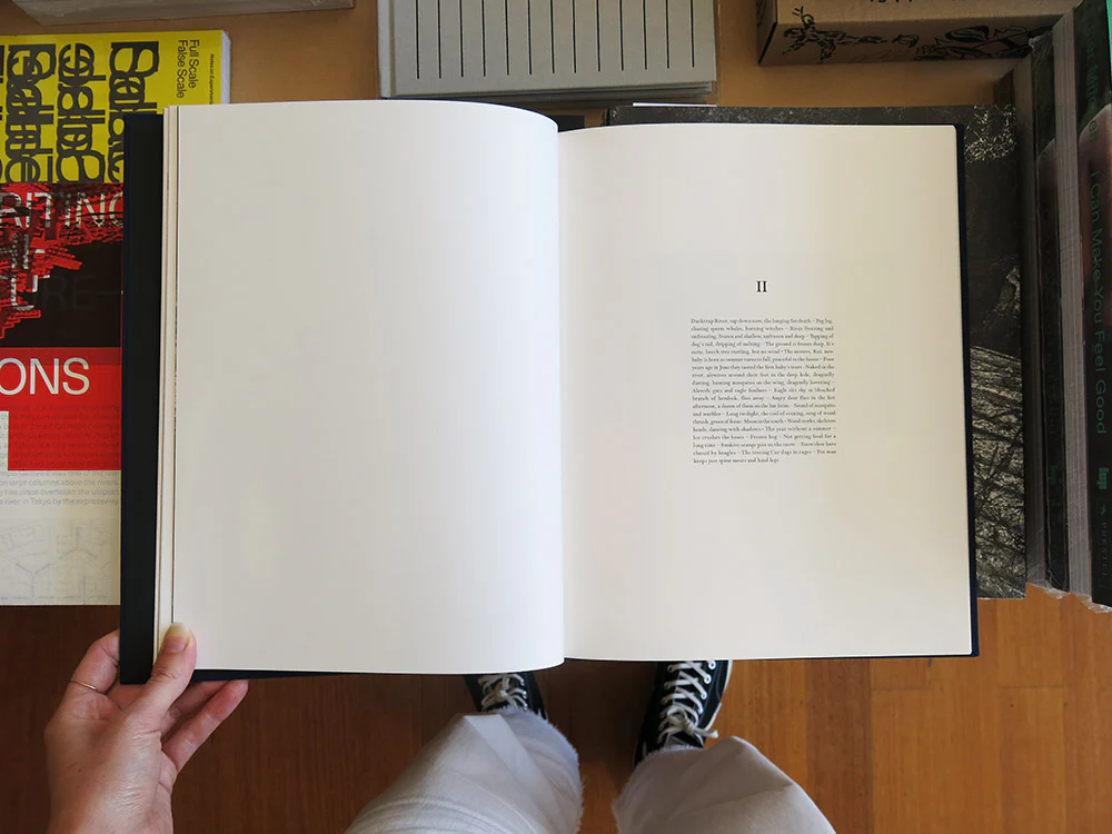 Jonathan Levitt – Echo Mask - Image 3