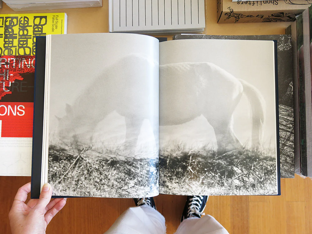 Jonathan Levitt – Echo Mask - Image 4