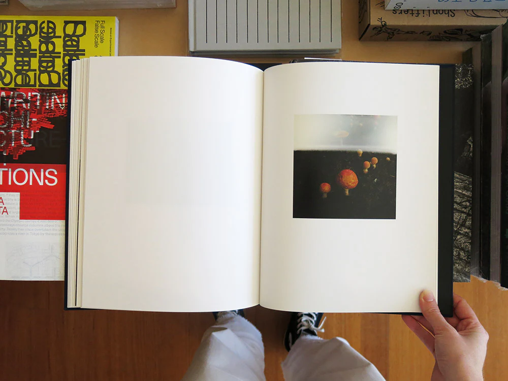 Jonathan Levitt – Echo Mask - Image 8