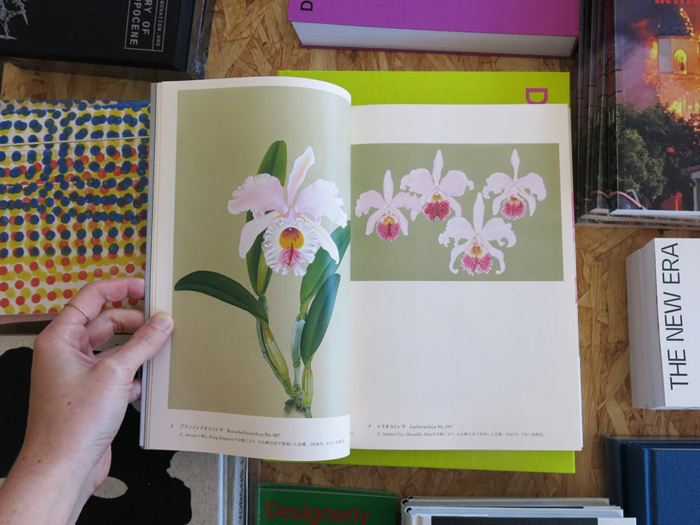 Kaga Shotaro – Rankafu: Japanese Woodblock Prints of Orchids - Image 2