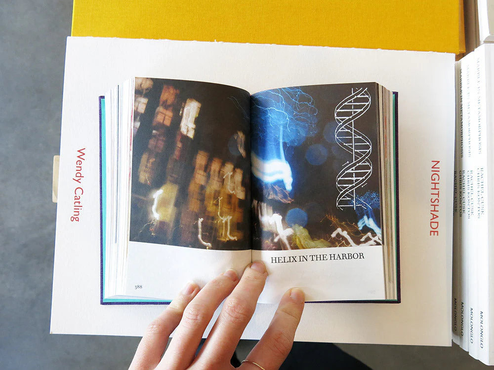 Katharina Grosse & Alexander Kluge – The SEPARATRIX Project - Image 7