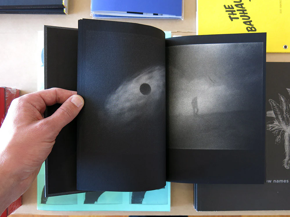 Katrin Koenning and Sarker Protick - Astres Noirs - Image 2