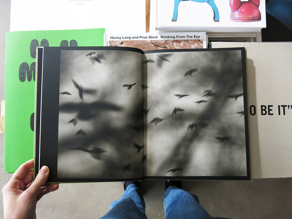 Kyunghee Lee – On Birds (Des oiseaux) - Image 2