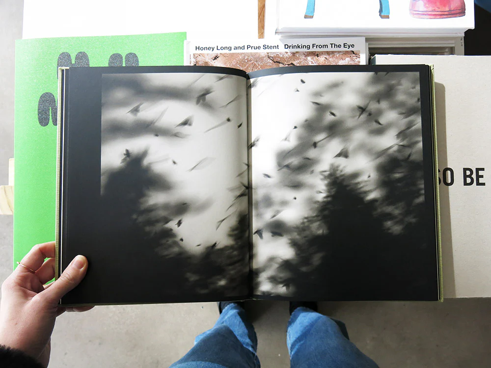 Kyunghee Lee – On Birds (Des oiseaux) - Image 4