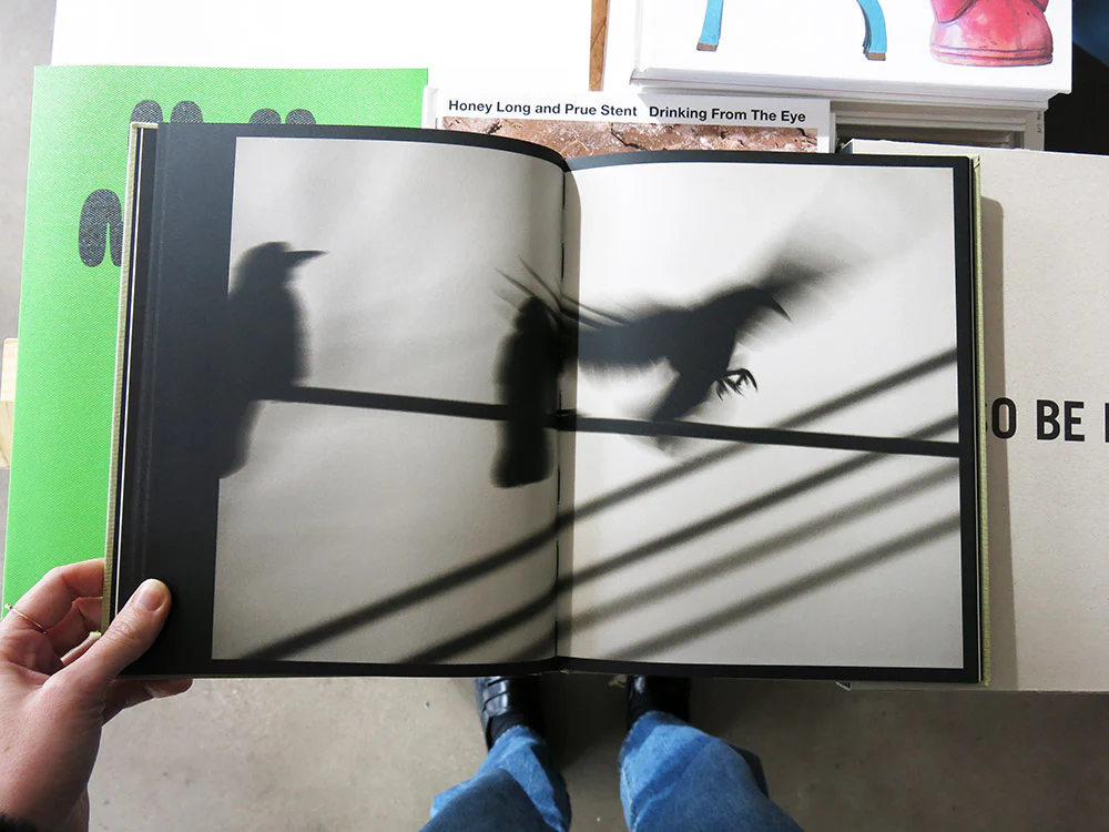 Kyunghee Lee – On Birds (Des oiseaux) - Image 5