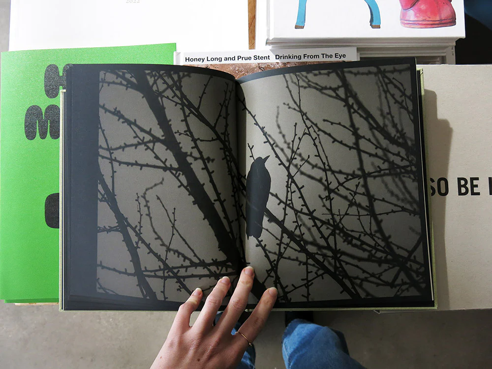 Kyunghee Lee – On Birds (Des oiseaux) - Image 7