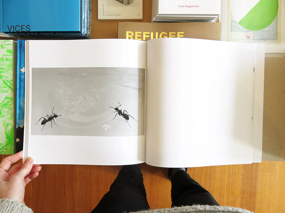 Laura Bielau – Arbeit - Image 7
