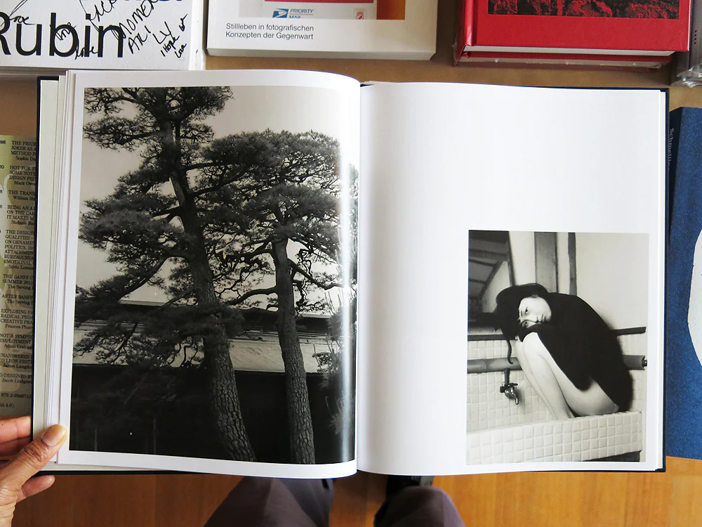 Lena C. Emery – Yuka & The Forest (With Print) - Image 6