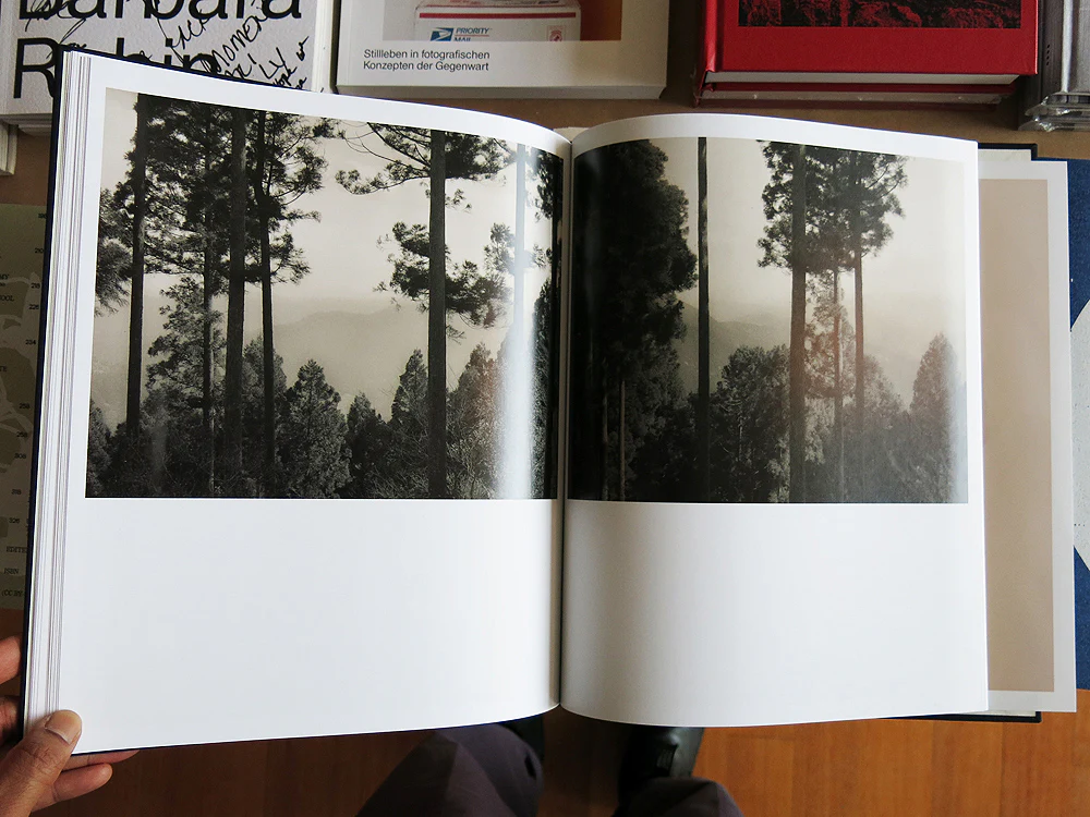 Lena C. Emery – Yuka & The Forest (With Print) - Image 8