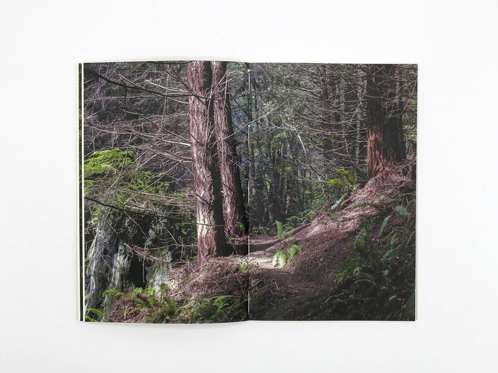 Lenard Smith – Refuge - Image 9