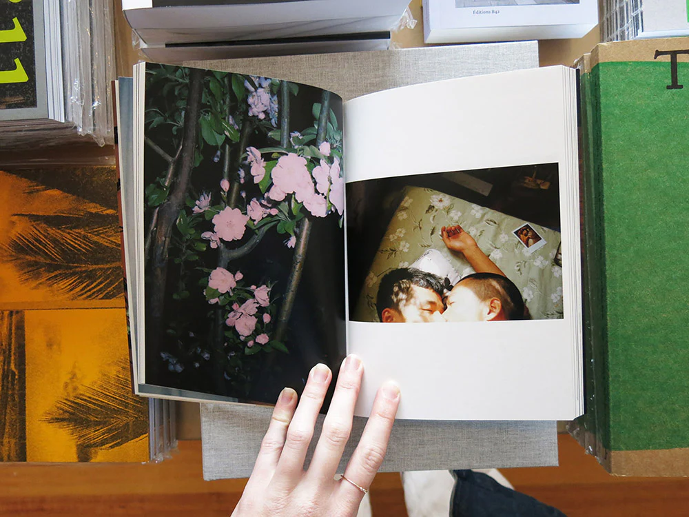 Lin Zhipeng a.k.a. No.223 – Flowers and Fruits - Image 5