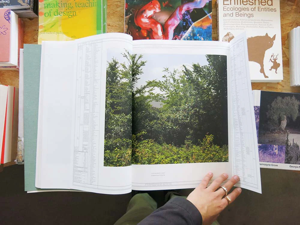 Linarejos Moreno – On the Geography of the Green [&] - Image 4