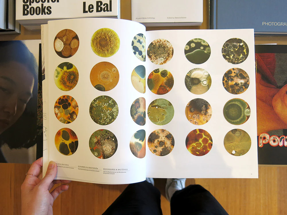 Lizan Freijsen – The Living Surface: An Alternative Biology Book on Stains - Image 3