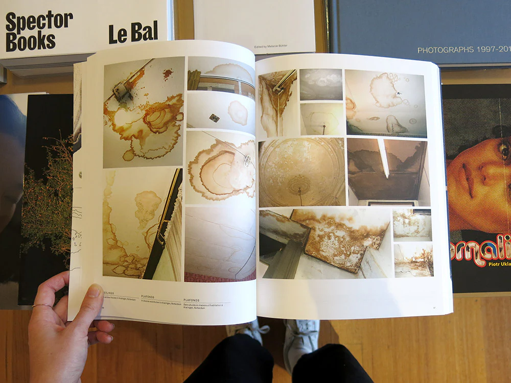 Lizan Freijsen – The Living Surface: An Alternative Biology Book on Stains - Image 7