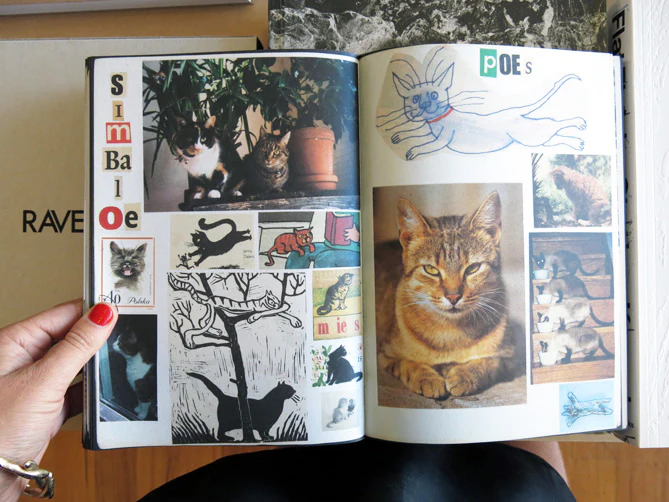 Lous Martens - Animal Books For/ Dierenboeken Voor Jaap Zeno Anna Julian Luca - Image 8