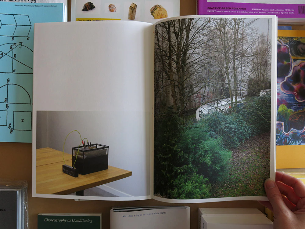 Lucas Leffler – Zilverbeek (Silver Creek) - Image 6