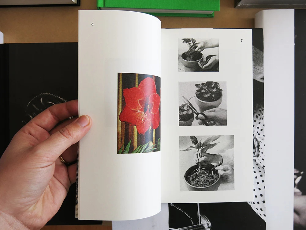 Lucy Dellar - Hands Doing Things - Image 3