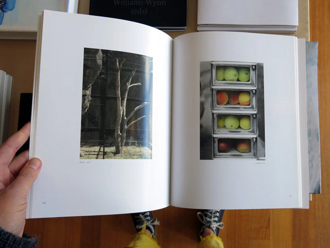 Luigi Ghirri - Kodachrome - Image 8