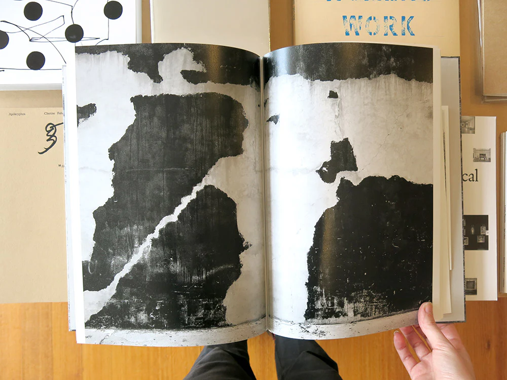 Lukas Hoffmann – Untitled Overgrowth - Image 3