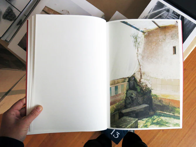Lynn Alleva Lilley – Tender Mint - Image 4
