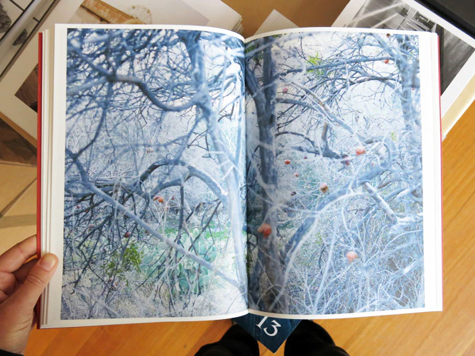 Lynn Alleva Lilley – Tender Mint - Image 5